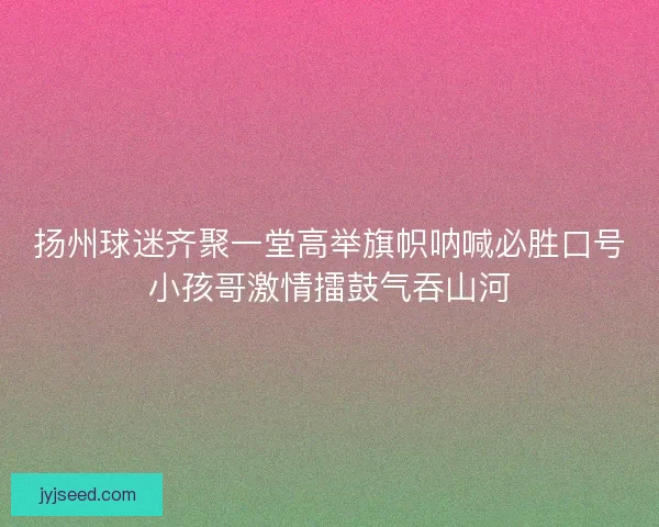 扬州球迷齐聚一堂高举旗帜呐喊必胜口号小孩哥激情擂鼓气吞山河